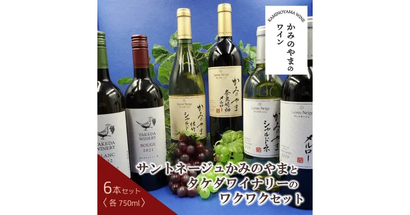 【ふるさと納税】サントネージュかみのやま と タケダワイナリー の ワクワク セット 750ml × 6本 ワイン 赤ワイン 白ワイン 日本ワイン お取り寄せ 産地直送 送料無料 山形県 上山市 0141-2413