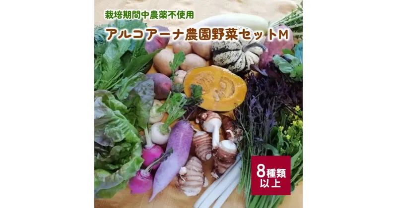 【ふるさと納税】アルコアーナ農園 野菜 セット （栽培期間中農薬不使用） Mサイズ 山形県 上山市 0148-2403