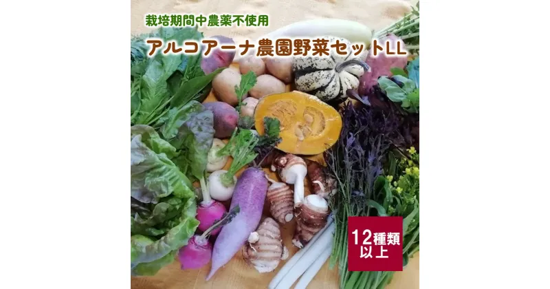 【ふるさと納税】アルコアーナ農園 野菜セット （栽培期間中農薬不使用） LLサイズ 山形県 上山市 0148-2404