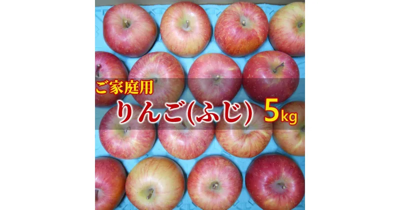 【ふるさと納税】りんご（ ふじ ）5kg ご家庭用 無袋栽培 10～20玉 果物 フルーツ お取り寄せ 産地直送 送料無料 0017-2426