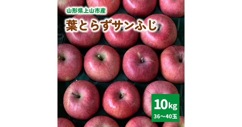 【ふるさと納税】有機肥料栽培 葉とらずサンふじ 上山市産 10kg 36～40玉 りんご 果物 フルーツ 産地直送 山形 お取り寄せ 送料無料 山形県 上山市 0079-2415