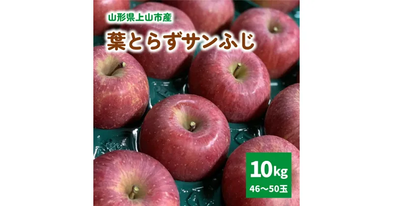 【ふるさと納税】有機肥料栽培 葉とらず サンふじ 上山市産 10kg 46～50玉 りんご 果物 フルーツ 産地直送 山形 お取り寄せ 送料無料 山形県 上山市 0079-2414