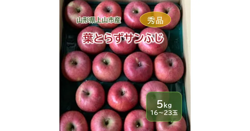 【ふるさと納税】有機肥料栽培 葉とらずサンふじ 上山市産 5kg 16～23玉 りんご 山形県 上山市 0079-2435