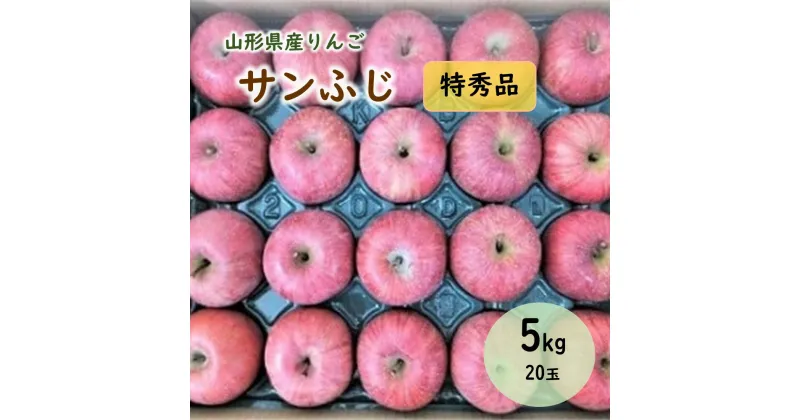 【ふるさと納税】りんご（サンふじ）5kg 20玉 特秀品 1段詰め 果物 フルーツ 山形 産地直送 お取り寄せ 送料無料 山形県 上山市 0056-2427