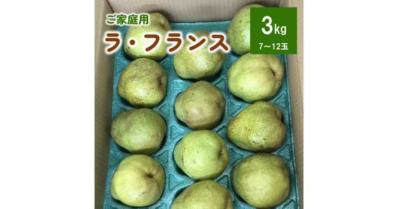 【ふるさと納税】西洋梨 （ラ・フランス） 3kg ご家庭用 山形県 上山市 0102-2403