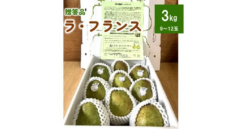 【ふるさと納税】ラ・フランス 3kg 贈答品 果物 フルーツ お取り寄せ 産地直送 送料無料 秋 旬 山形県 上山市 0102-2404