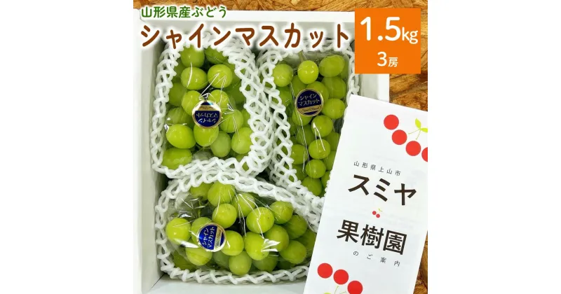 【ふるさと納税】ぶどう (シャインマスカット) 1.5kg (房小さめ) 規格外 果物 フルーツ 種なし お取り寄せ 産地直送 送料無料 山形県 上山市 0047-2410