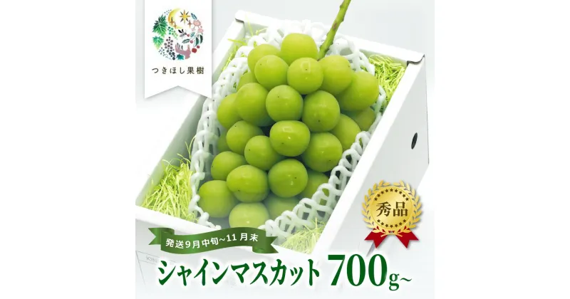 【ふるさと納税】上山市産 シャインマスカット 大房 1房 700g以上 秀品 果物 フルーツ ぶどう お取り寄せ 山形 産地直送 送料無料 山形県 上山市 0140-2402