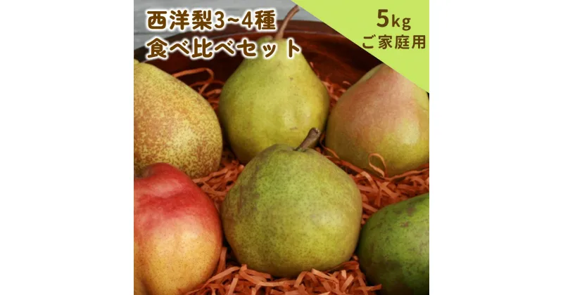 【ふるさと納税】西洋梨 3~4種 食べ比べ セット 5kg ご家庭用 梨 山形県 上山市 0062-2406