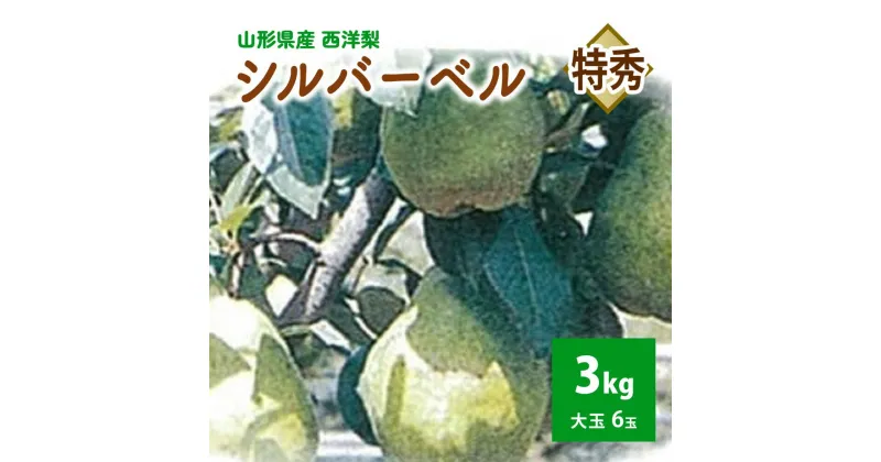 【ふるさと納税】西洋梨（シルバーベル）3kg 6玉 特秀品 山形県 上山市 0042-2416