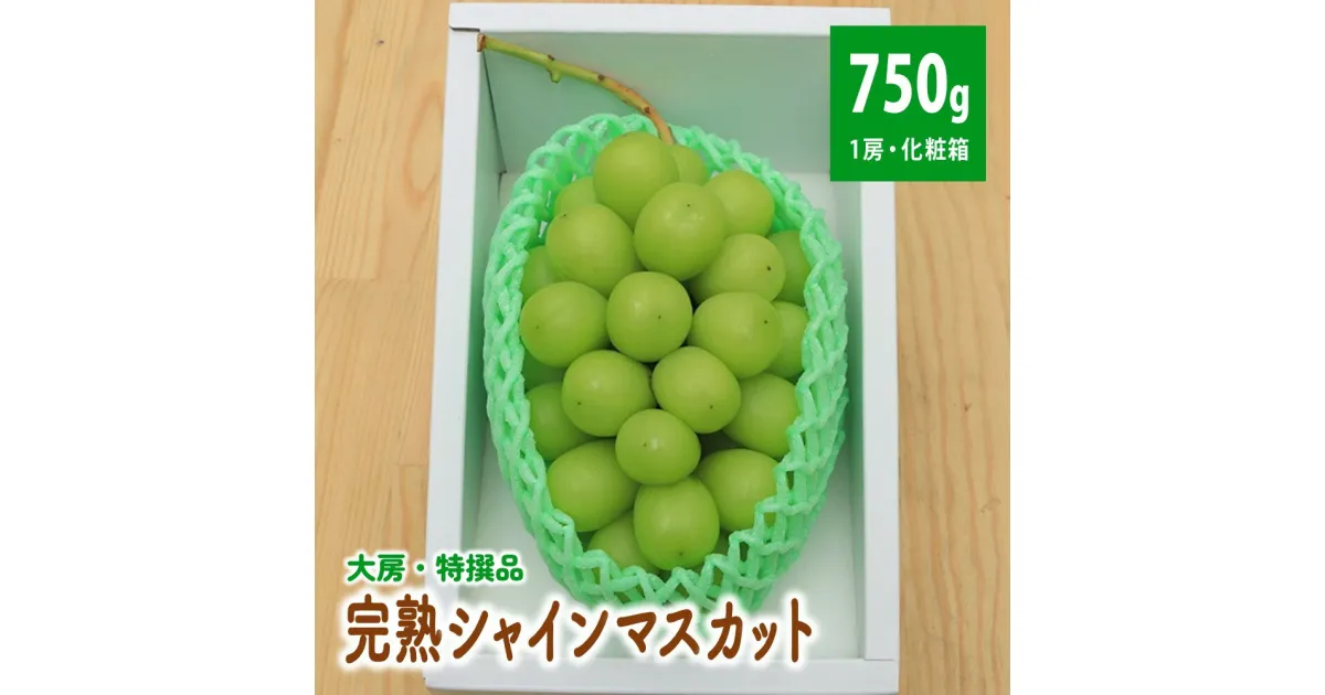 【ふるさと納税】【大房・特撰品】完熟シャインマスカット 1房 750g 化粧箱 山形県 上山市 ぶどう 葡萄 0049-2401