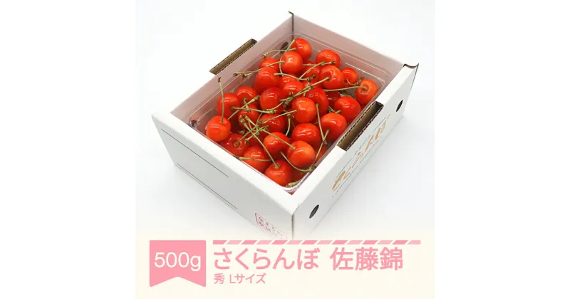 【ふるさと納税】【先行予約】さくらんぼ 佐藤錦 秀品 L玉 500g×1パック バラ詰 2025年産 令和7年産 山形県産 送料無料