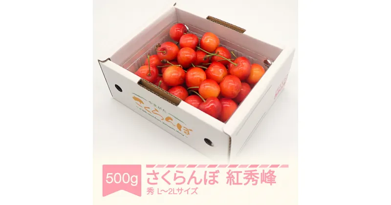 【ふるさと納税】【先行予約】さくらんぼ 紅秀峰 秀品 L-2L玉 500g×1パック バラ詰 2025年産 令和7年産 山形県 送料無料