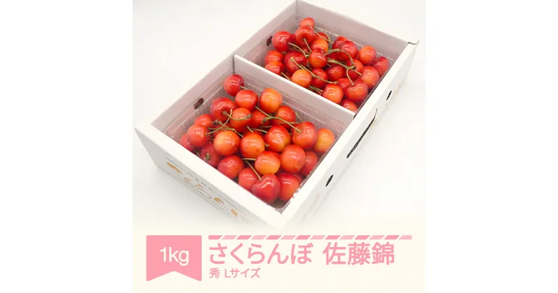 【ふるさと納税】【先行予約】さくらんぼ 佐藤錦 秀品 500g×2パック 1kg L玉 バラ詰 2025年産 令和7年産 山形県産 送料無料