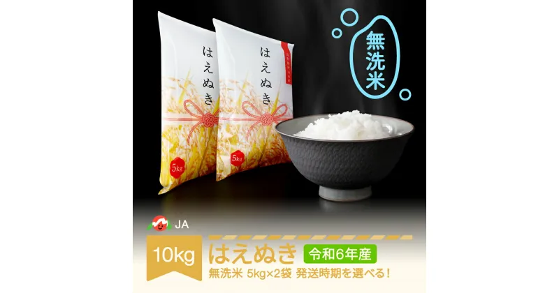 【ふるさと納税】 新米 米 10kg 5kg×2 はえぬき 無洗米 令和6年産 2024年産 山形県村山市産 送料無料※沖縄・離島への配送不可