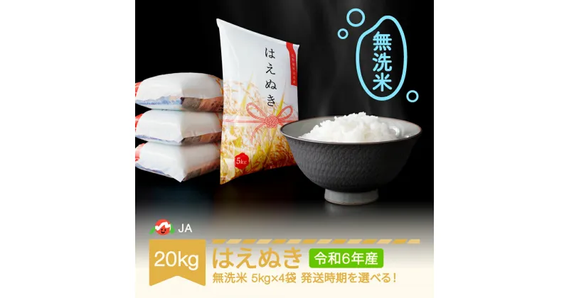 【ふるさと納税】 新米 米 20kg 5kg×4 はえぬき 無洗米 令和6年産 2024年産 山形県村山市産 送料無料※沖縄・離島への配送不可