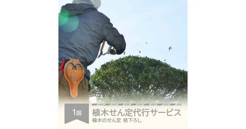 【ふるさと納税】 植木せん定代行サービス 村山市 シルバー人材センター