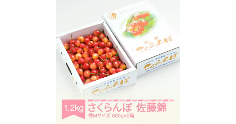 【ふるさと納税】先行予約 さくらんぼ 佐藤錦 秀Mサイズ バラ詰め 1.2kg(600g×2箱) 2025年産 令和7年産 山形県産 送料無料 サクランボ