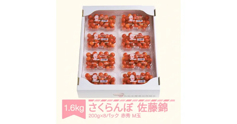 【ふるさと納税】【先行予約】さくらんぼ 佐藤錦 赤秀品 M玉 200g×8パック2025年産 令和7年産 山形県産