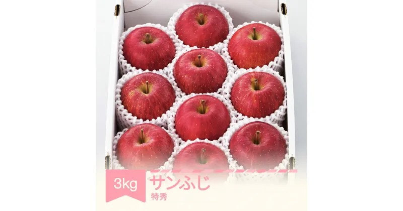 【ふるさと納税】りんご サンふじ 約3kg 特秀品 リンゴ 令和6年産 2024年産 果物 フルーツ 山形県産 送料無料 mm-risft3※沖縄・離島への配送不可