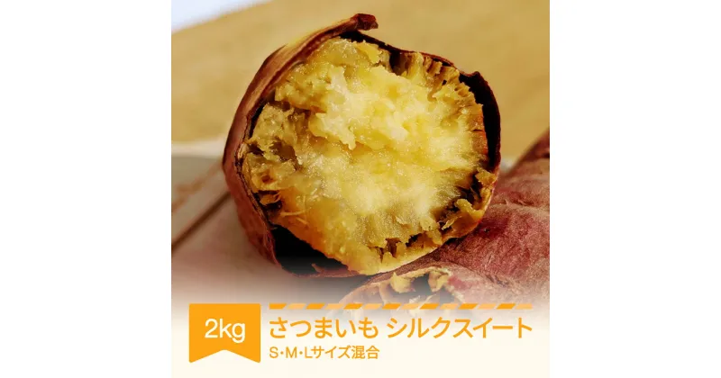 【ふるさと納税】さつまいも シルクスイート 村山市産 約2kg 2024年産 令和6年産 送料無料 山形県産 ※沖縄・離島への配送不可