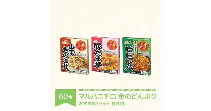 【ふるさと納税】マルハニチロ 金のどんぶり レトルト 丼ぶり 常温 60個 おすすめセットB 送料無料