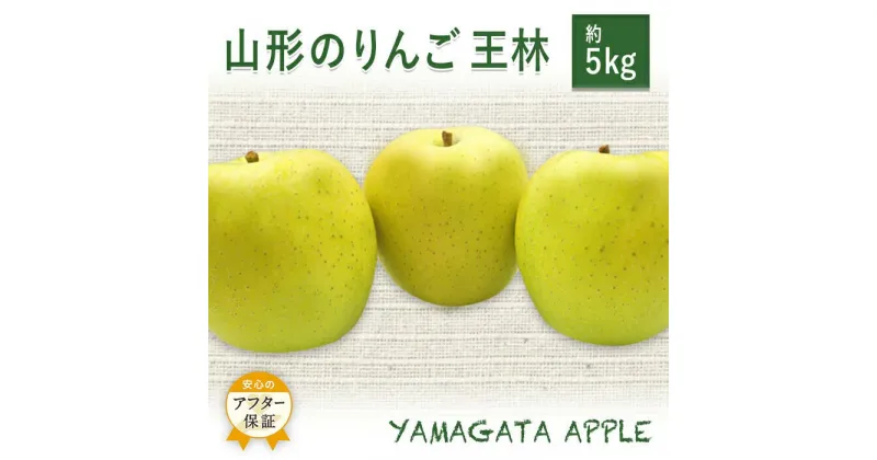 【ふるさと納税】＼アフター保証対象品／ 山形 りんご 約 5kg 王林 甘み と 香り が強く サクッと 軽い 食感 で 食べやすい 青りんご 【2024年11月発送】 H079(R6)