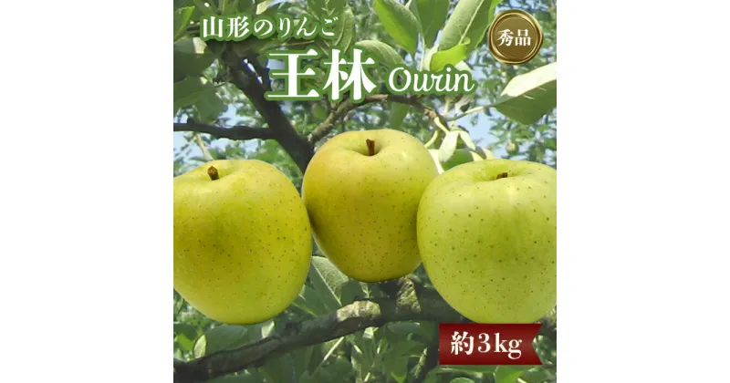 【ふるさと納税】【2024年11月発送分先行受付】「秀品」山形のりんご（王林）約3kg_H168(R6)