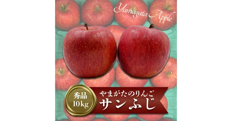 【ふるさと納税】【2024年11月〜12月発送分先行受付】「秀品」山形のりんご（サンふじ）約10kg_H170(R6)