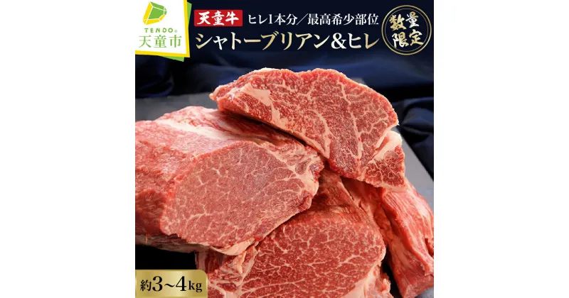 【ふるさと納税】【数量限定】 希少 部位 天童牛 シャトーブリアン ひれ 1本分国産 黒毛和牛 和牛 牛肉 ブランド牛 山形牛 ヒレ肉 ヒレ 赤身 肉 冷凍 冷蔵 ステーキ 鉄板焼き のし 贈答 お中元 お歳暮 お取り寄せ グルメ 冷蔵 冷凍 送料無料 【 山形県 天童市 】