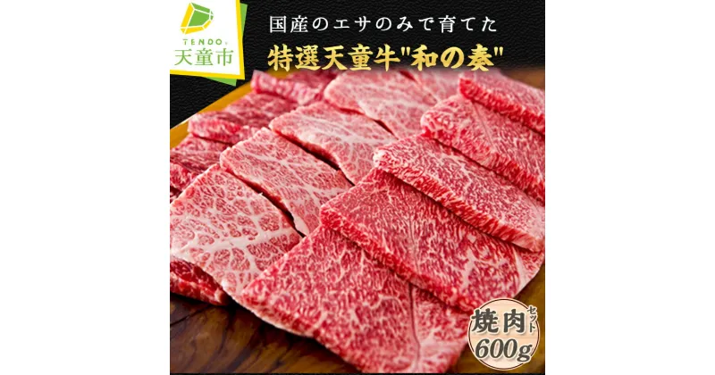 【ふるさと納税】 農林水産大臣賞受賞 特選 天童牛 ” 和の奏 ” 焼肉 セット 600g国産 黒毛和牛 和牛 牛肉 ブランド牛 山形牛 肉 国産飼料 ご家庭用 のし 贈答 お中元 お歳暮 ギフト お取り寄せ グルメ 冷凍 送料無料 なごみ農産 【 山形県 天童市 】