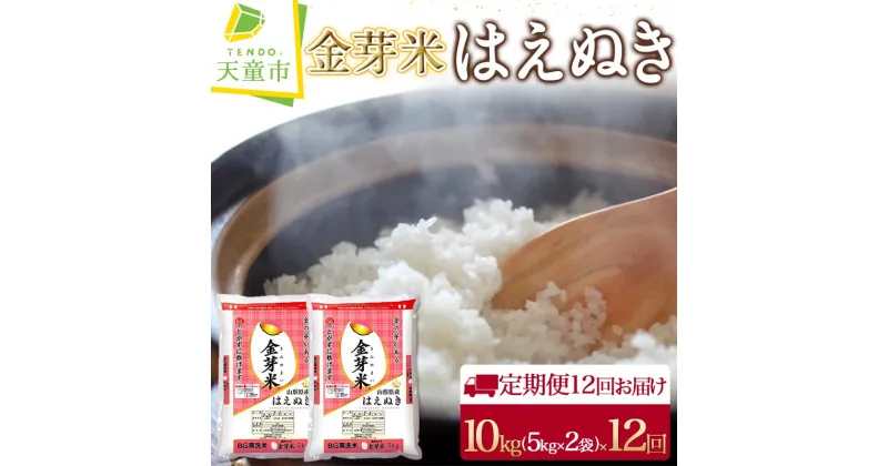 【ふるさと納税】【 定期便 】金芽米 はえぬき 10kg ( 5kg×2袋 ) 12回 お届け令和6年産 新米 米 コメ こめ おこめ お米 BG 無洗米 ブランド米 カロリーオフ ごはん 白米 ご飯 おにぎり 弁当 おすそ分け 5kg 袋 小分け 食品 送料無料 【 山形県 天童市 】