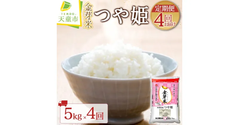 【ふるさと納税】【 定期便 】金芽米 つや姫 5kg ( 5kg×1袋 ) 4回 お届け 令和6年産 新米 米 コメ こめ おこめ BG 無洗米 ブランド米 カロリーオフ ごはん 白米 ご飯 おにぎり 弁当 5kg 袋 お取り寄せ のし 贈答 ギフト 食品 送料無料 【 山形県 天童市 】