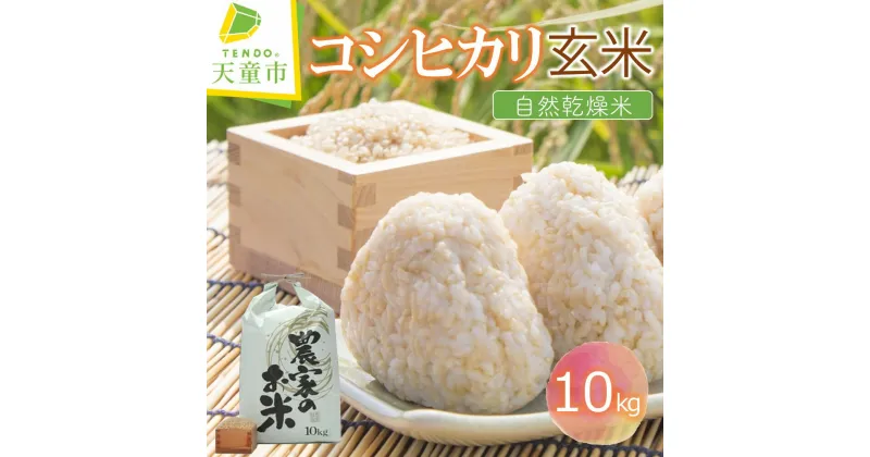 【ふるさと納税】＼受付開始／ コシヒカリ 玄米 自然乾燥米 10kg 10kg×1袋令和6年産 新米 先行予約 米 コメ こめ おこめ お米 玄米 ブランド米 玄米生活 健康志向 ごはん おにぎり 弁当 10kg 袋 のし 贈答 ギフト お取り寄せ 食品 送料無料 【 山形県 天童市 】