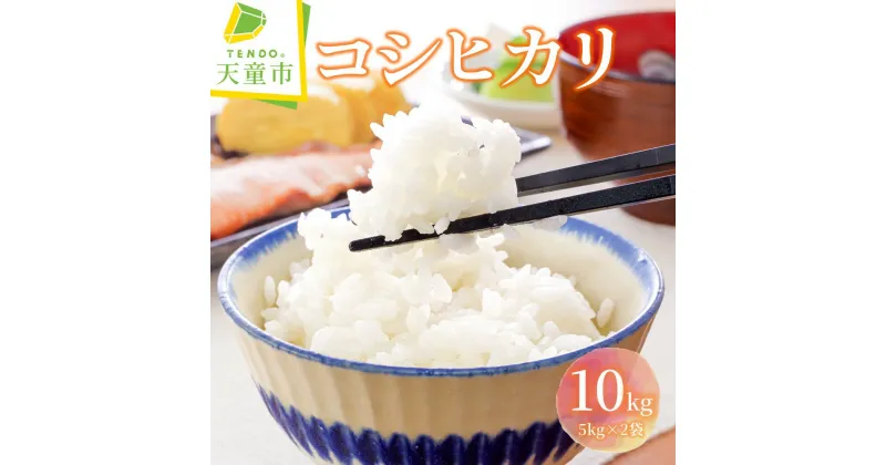 【ふるさと納税】コシヒカリ 10kg 5kg×2袋令和6年産 新米 米 コメ こめ おこめ 精米 特別栽培米 ブランド米 ごはん 白米 ご飯 おにぎり 弁当 5kg 袋 小分け 便利 おすそ分け お取り寄せ 食品 送料無料 【 山形県 天童市 】