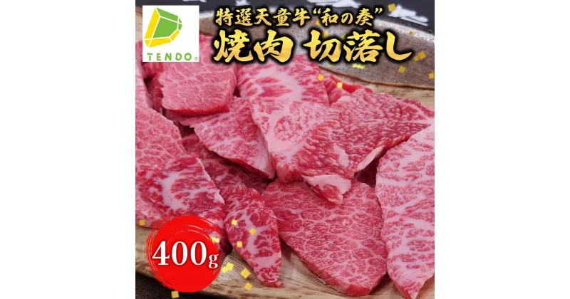 【ふるさと納税】 農林水産大臣賞受賞 特選 天童牛 ” 和の奏 ” 焼肉 切落し 400g国産 黒毛和牛 和牛 牛肉 ブランド牛 山形牛 国産飼料 ご家庭用 のし 贈答 お中元 お歳暮 お取り寄せ グルメ 冷凍 送料無料 なごみ農産 【 山形県 天童市 】