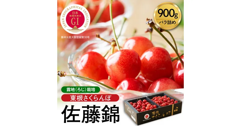 【ふるさと納税】ランキング 1位 獲得 GI「 東根 さくらんぼ 」 佐藤錦 900g バラ詰め / さくらんぼ チェリー フルーツ 果物 くだもの 化粧箱 箱入り 大容量 ご当地 特産 産地 直送 先行予約 期間限定 送料無料 山形県 東根市