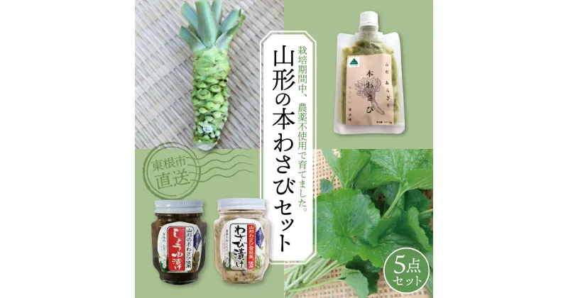 【ふるさと納税】 山形の本わさびセット ワサビ wasabi 生わさび 葉わさび 葉 わさび漬け 醤油漬け 詰め合わせ 加工品 おかず 薬味 おつまみ お土産 お取り寄せ 送料無料 山形県 東根市