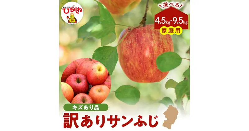 【ふるさと納税】【 令和6年産 先行予約 】 訳あり りんご サンふじ 選べる 4.5kg 9.5kg 満杯詰 リンゴ アップル さんふじ 家庭用 傷 規格外 不揃い 人気 フルーツ 果物 くだもの お取り寄せ 山形 産地直送 東北 山形県 東根市 【11月1日～翌1月31日頃順次発送】