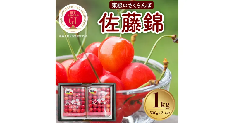 【ふるさと納税】【 2025年産 先行予約 】 GI さくらんぼ「 佐藤錦 」1kg フルーツ 果物 くだもの サクランボ チェリー 小分け 箱入り 化粧箱 期間限定 冷蔵配送 大容量 ご当地 特産 産地 直送 お取り寄せグルメ 東北 山形県 東根市