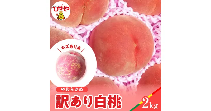 【ふるさと納税】【 2025年産 先行予約 】 白桃 品種おまかせ 訳あり 2kg (やわらかめ)桃 もも モモ ピーチ フルーツ 果物 くだもの 訳アリ 傷 規格外 不揃い 期間限定 大容量 冷蔵配送 先行予約 取り寄せ グルメ ご当地 特産 産地 直送 送料無料 東北 山形県 東根市