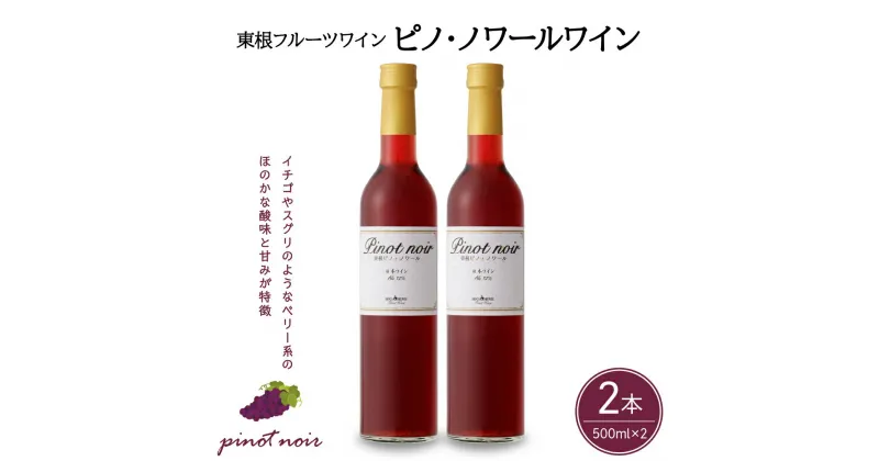 【ふるさと納税】 ワイン ピノ・ノワールワイン 500ml × 2本 セット / 赤ワイン 日本ワイン ワインセット 国産 ぶどう 赤 酒 お酒 洋酒 果実酒 アルコール 母の日 父の日 敬老の日 記念日 誕生日 ギフト プレゼント お取り寄せ 送料無料 山形県 東根市