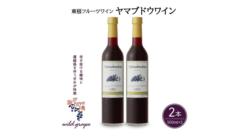 【ふるさと納税】 ワイン ヤマブドウワイン 500ml × 2本 セット / 赤ワイン 日本ワイン ワインセット 国産 ぶどう 赤 酒 お酒 洋酒 果実酒 アルコール 母の日 父の日 敬老の日 記念日 誕生日 ギフト プレゼント お取り寄せ 送料無料 山形県 東根市