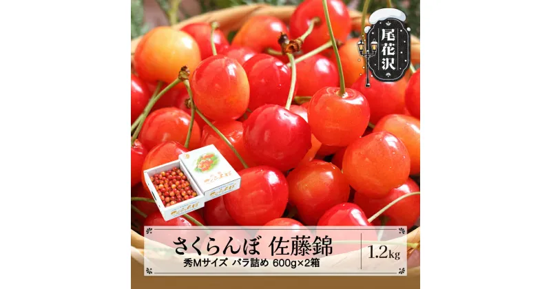 【ふるさと納税】先行予約 さくらんぼ 佐藤錦 秀Mサイズ バラ詰め 1.2kg(600g×2箱) 2025年産 令和7年産 山形県産 送料無料 サクランボ※沖縄・離島への配送不可