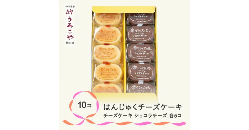 【ふるさと納税】 お菓子 スイーツ チーズケーキ チョコレート ケーキ 洋菓子 はんじゅくチーズケーキ ショコラチーズ 10個入 送料無料