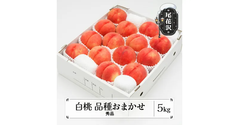 【ふるさと納税】先行予約 もも 白桃 秀品 品種おまかせ 約5kg (12～18玉) 化粧箱入 2025年産 令和7年産 送料無料 フルーツ 果物 ns-mohtx5※沖縄・離島への配送不可