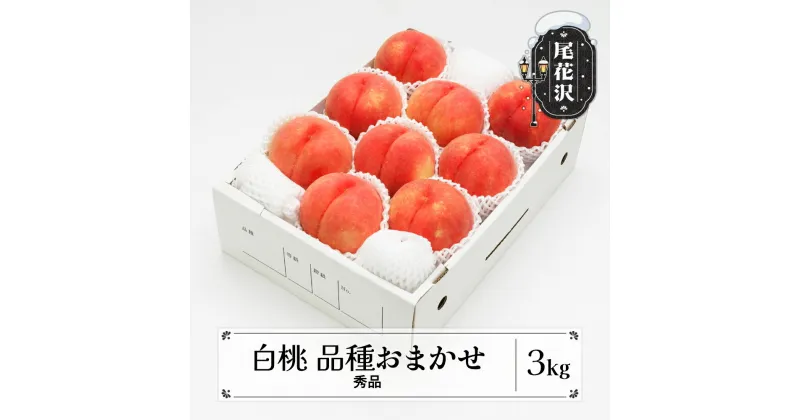 【ふるさと納税】もも 白桃 秀品 品種おまかせ 約3kg (7～12玉) 化粧箱入 2025年産 令和7年産 送料無料 フルーツ 果物 ns-mohtx3※沖縄・離島への配送不可