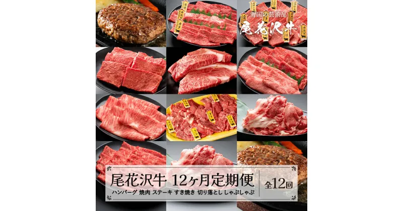 【ふるさと納税】尾花沢牛 12ヶ月 定期便 ( 焼肉 / ハンバーグ / しゃぶしゃぶ / ステーキ / すき焼き / 切り落とし ) 全12回 冷蔵配送 冷凍配送 国産牛 山形牛 尾花沢牛 黒毛和牛 牛肉 お肉 食べ比べ 牛 定期 毎月発送 送料無料 nj-tkogx12