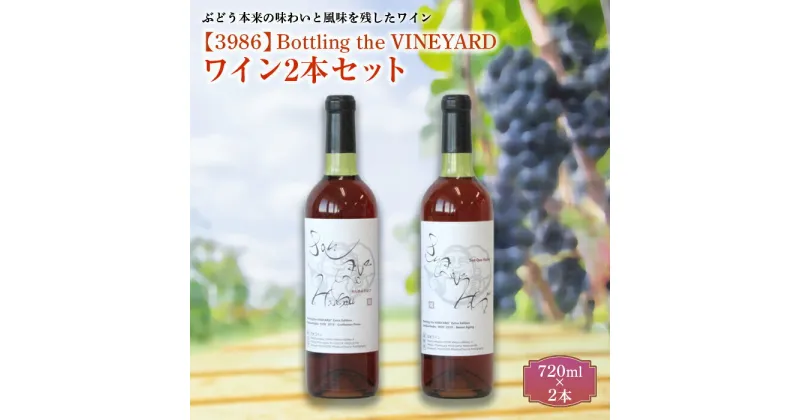 【ふるさと納税】 【3986】Bottling the VINEYARD ワイン2本セット 山形県 南陽市 [998]