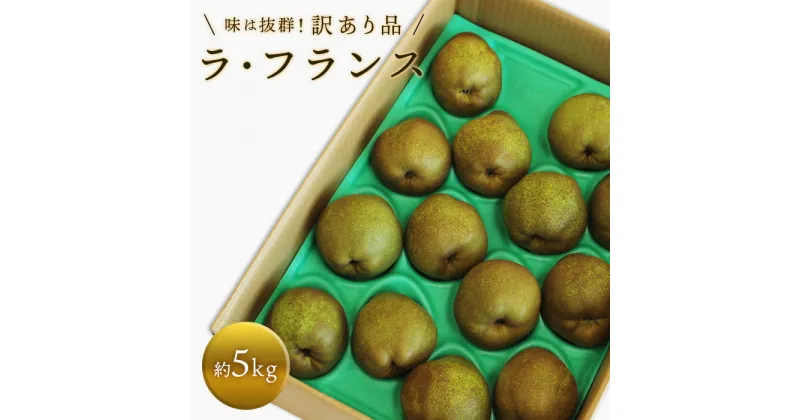 【ふるさと納税】 【令和6年産先行予約】 〈訳あり品 家庭用〉 ラ・フランス 約5kg (10～18玉) 《令和6年10月下旬～発送》 『旬の果実 佐藤市右衛門農園』 ラフランス 西洋梨 洋なし 訳あり 果物 フルーツ デザート 山形県 南陽市 [1047]